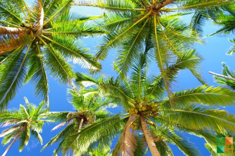 Tranh dán tường 3d đẹp cho phòng khách BE - 012